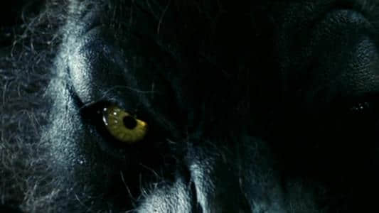 黑色电影发展史《惊悚类型片的发展》