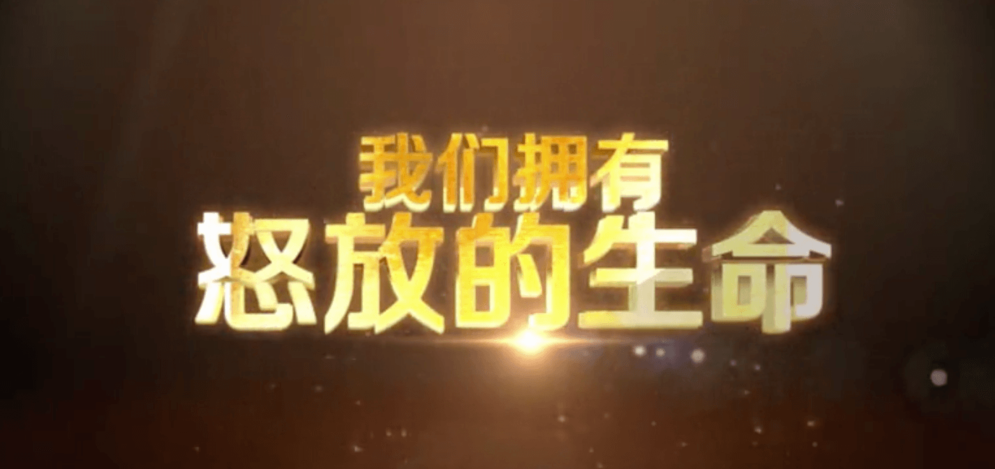 开场视频｜武汉隆盛年会