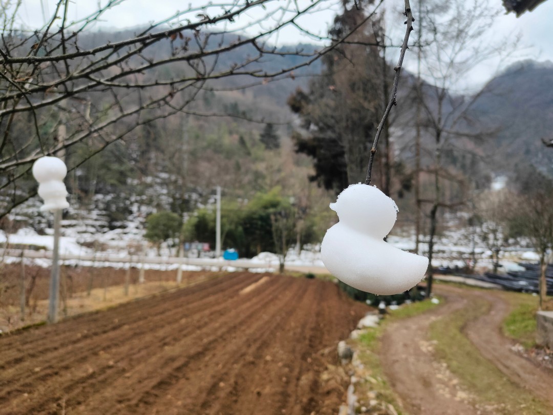 哪边的年味2023-向安宇知识库