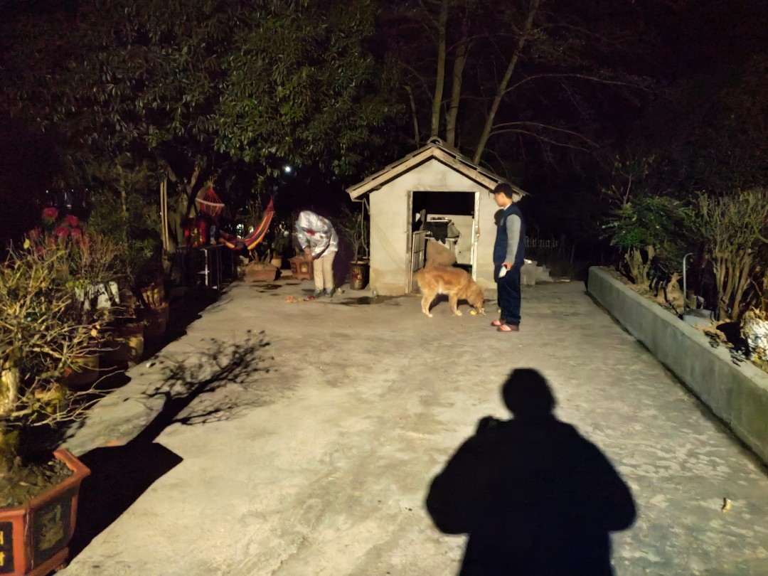 哪边的年味2023-向安宇知识库