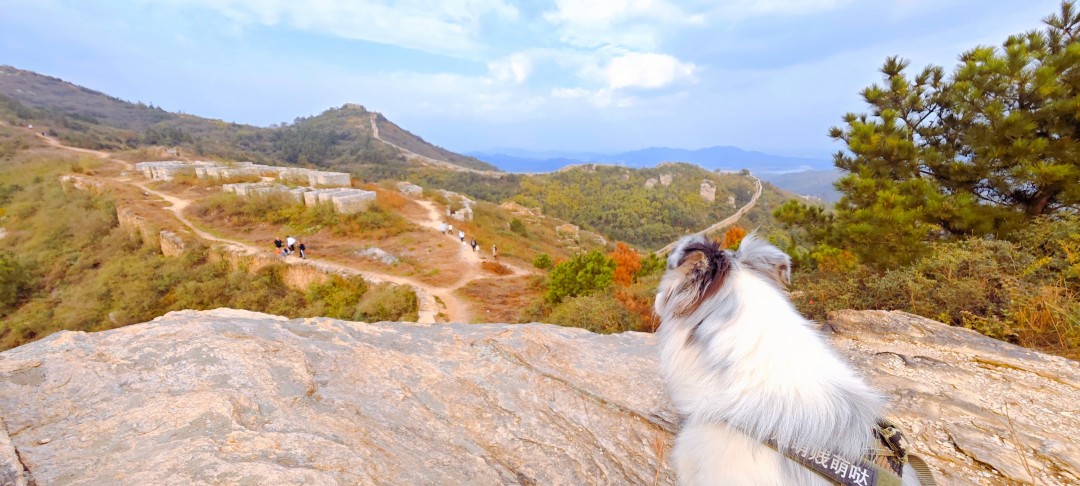 一探龙王尖：武汉野长城
