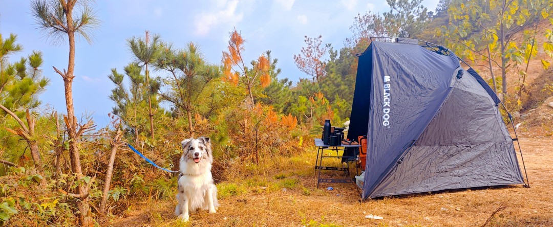 一探龙王尖:武汉野长城-讲故事的手艺人