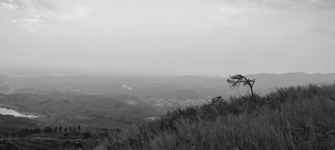 一探龙王尖:武汉野长城-讲故事的手艺人